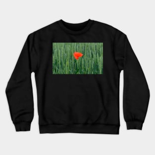 Poppy in Wheat Field Crewneck Sweatshirt